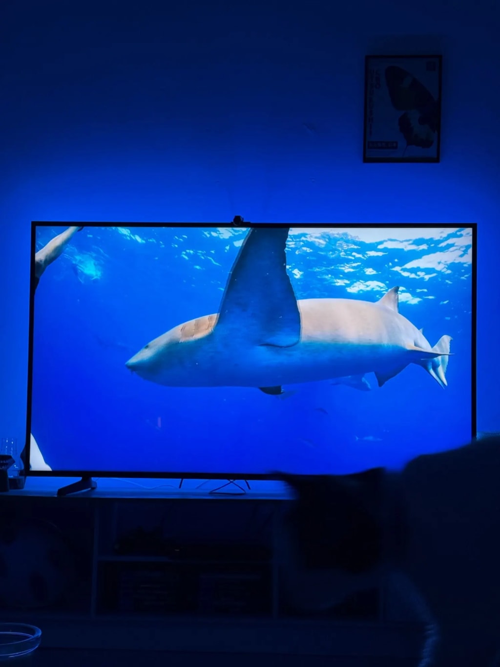 Cinema Immersion TV Backlight